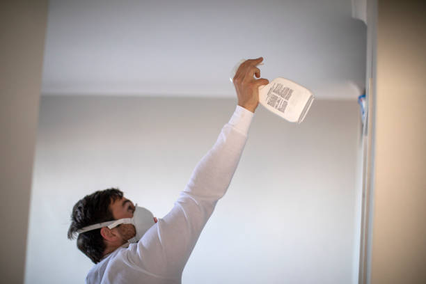 Mold Testing and Removal in Wilder, ID