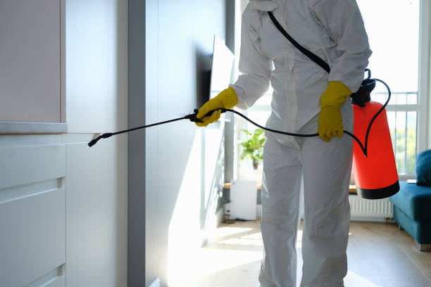 Best Emergency Mold Removal  in Wilder, ID